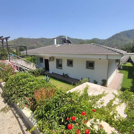 Vila Gcek Begonvilla