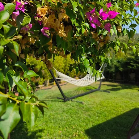Vila Gcek Begonvilla Fethiye